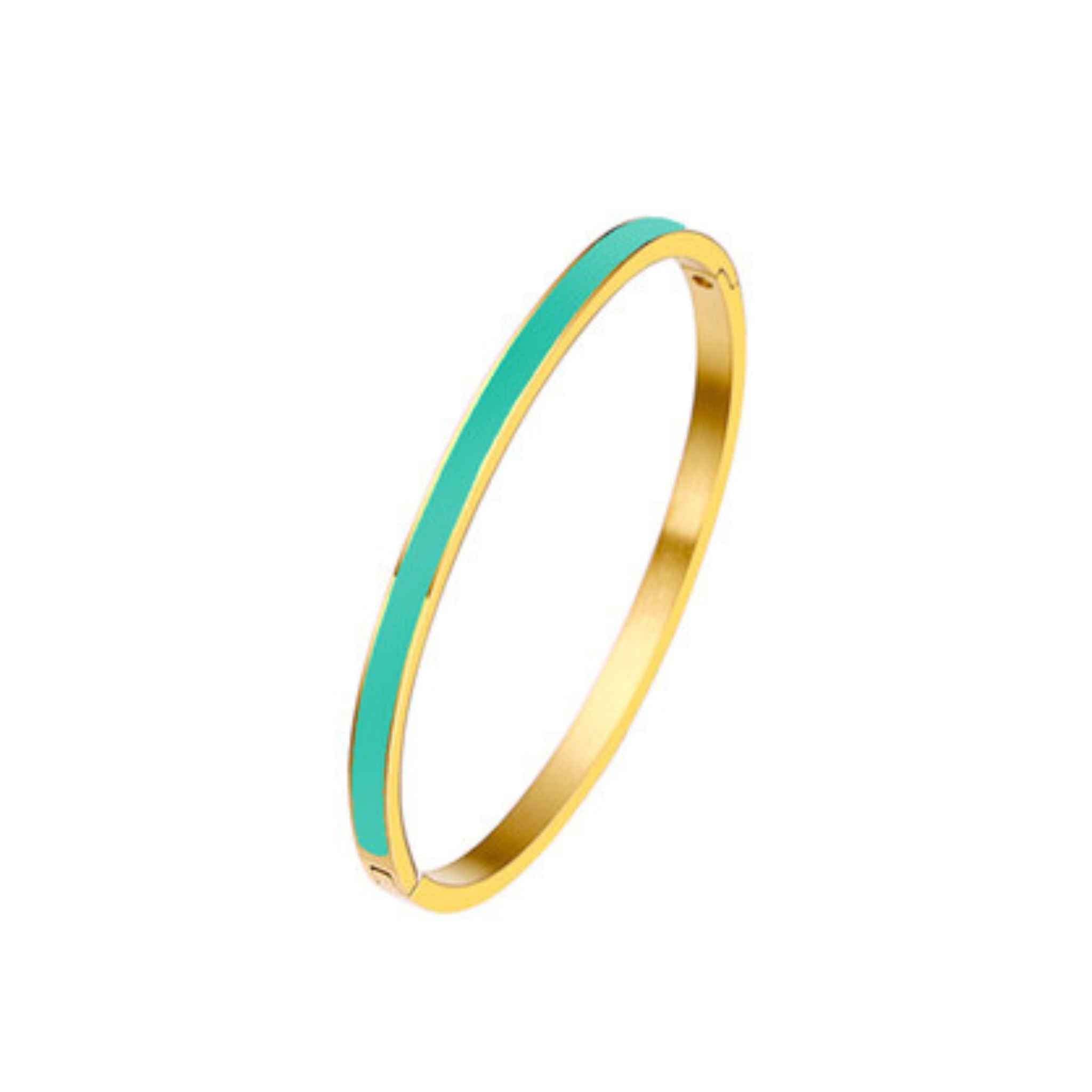 Stainless Steel Coloured Enamel 4mm Stacking Bangle