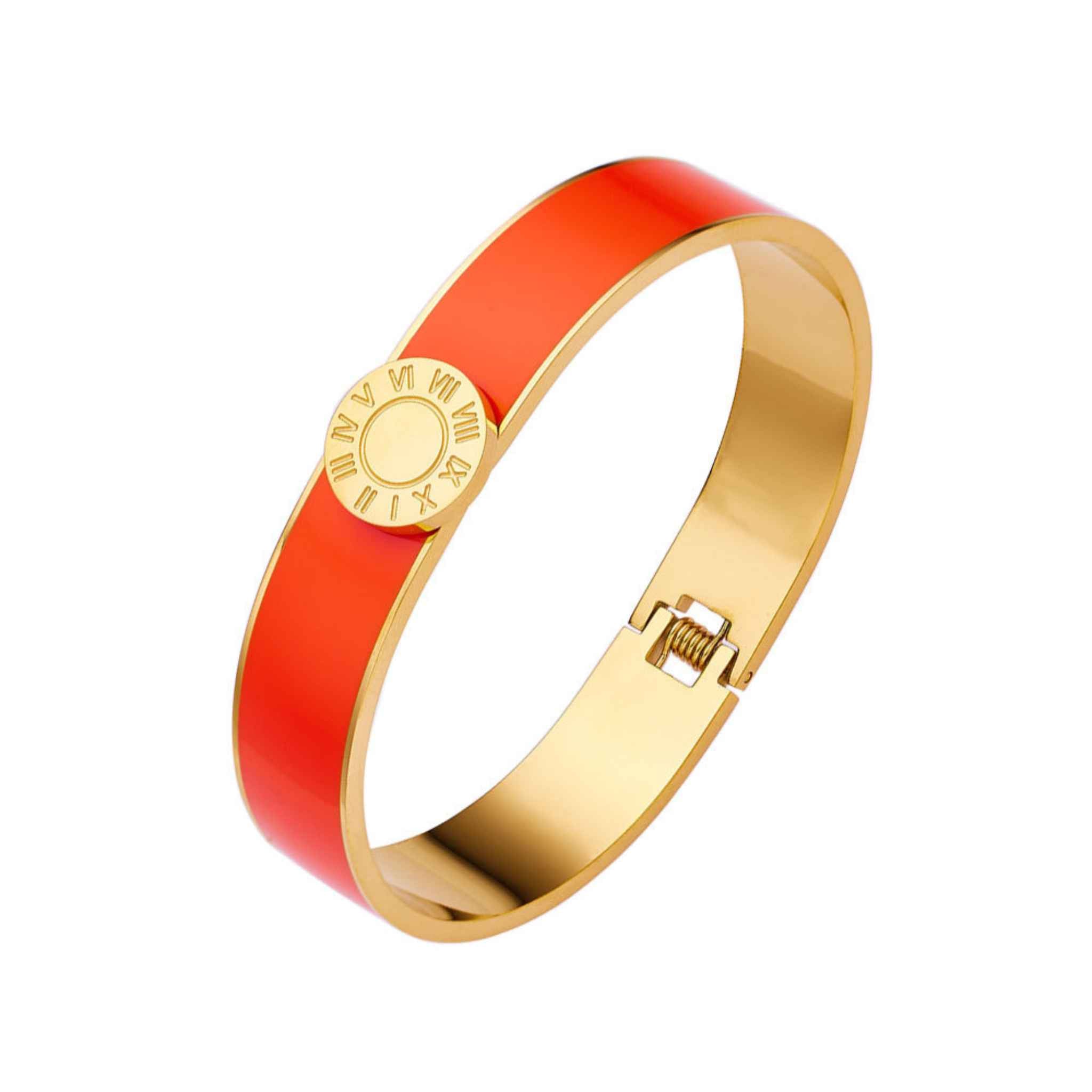 Stainless Steel Roman Numerals Coloured Enamel Bangle