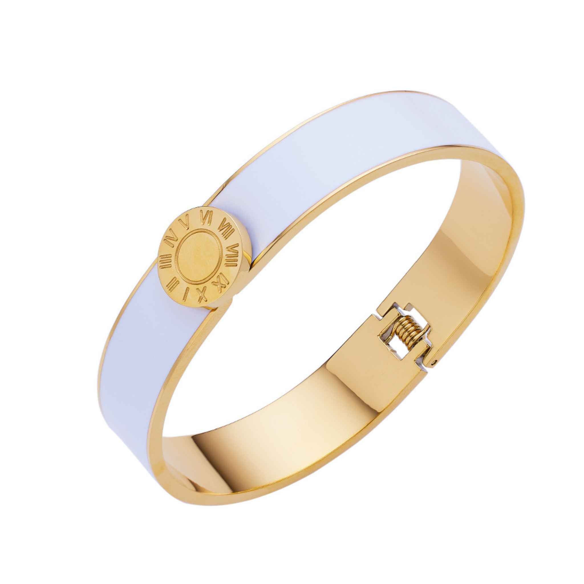 Stainless Steel Roman Numerals Coloured Enamel Bangle